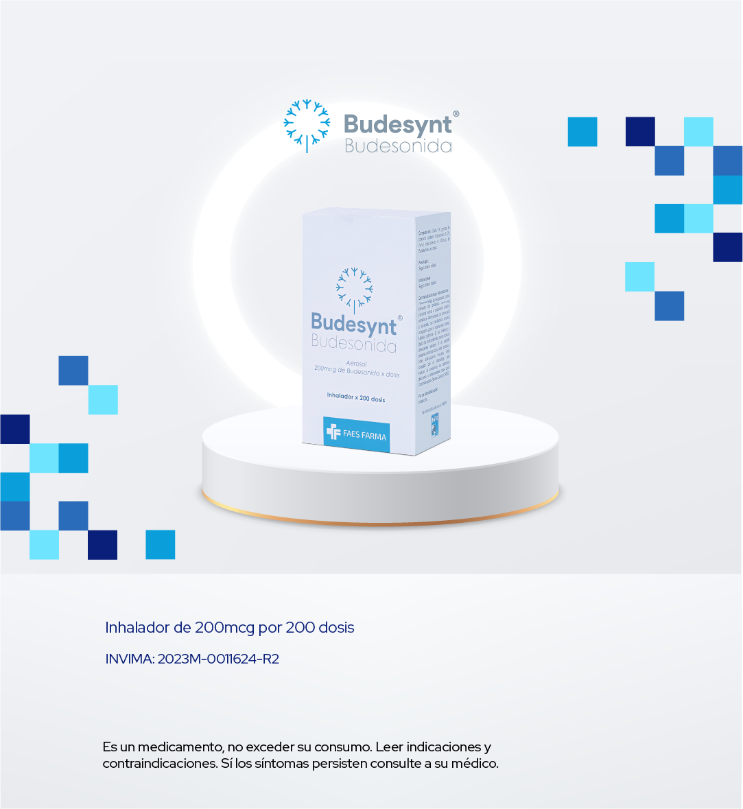 budesynt_2025_movil